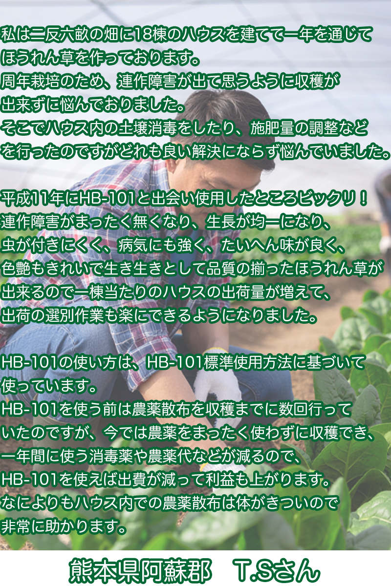 ホウレンソウ農家さんの声